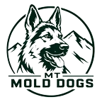 Montana Mold Dogs